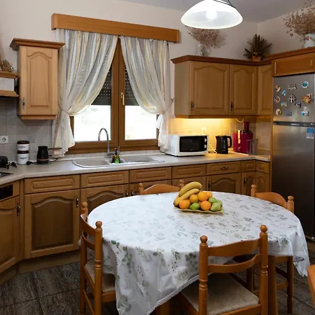 Antonis Nyaraló Kosz