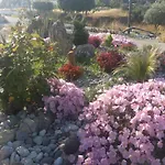 Antonis * Kos-Stadt