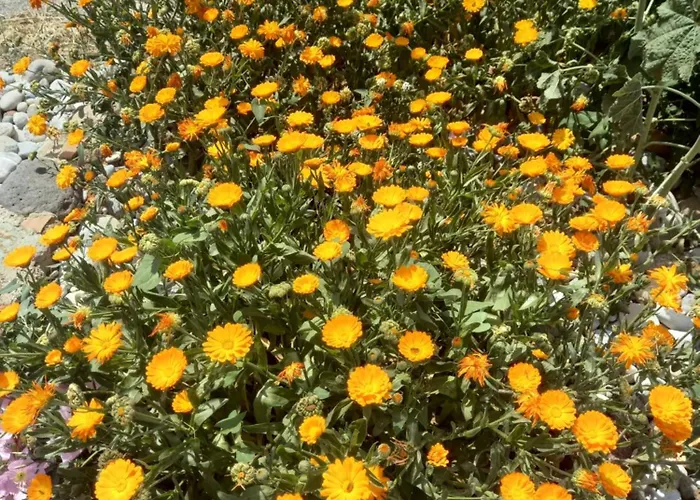 Antonis Prázdninový dům