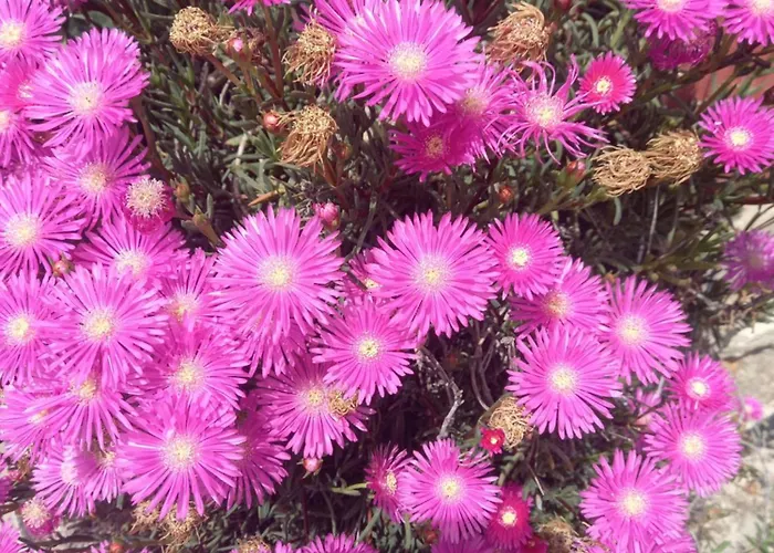 بيت للعطل Antonis بلدة كوس